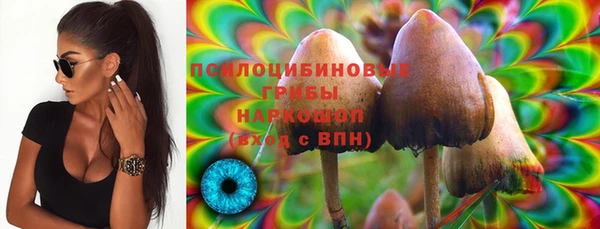 ALPHA-PVP Алексеевка