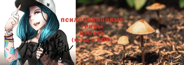 apvp Нязепетровск